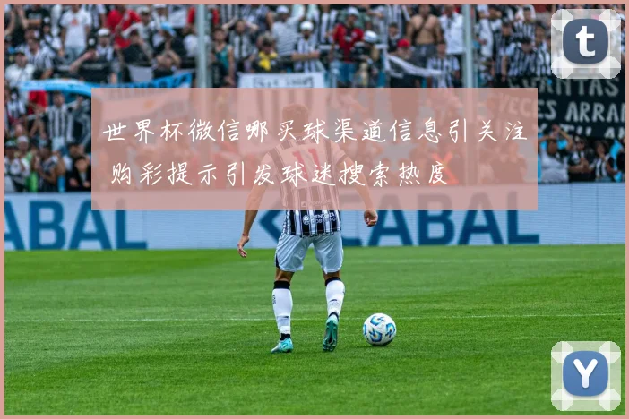 世界杯微信哪买球渠道信息引关注 购彩提示引发球迷搜索热度