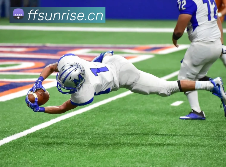 开云kaiyun平台生态图